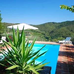 Olivo Country Casa vacanze